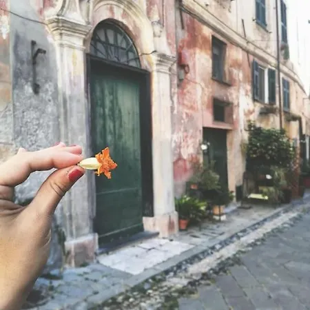Casita Magica Daire *